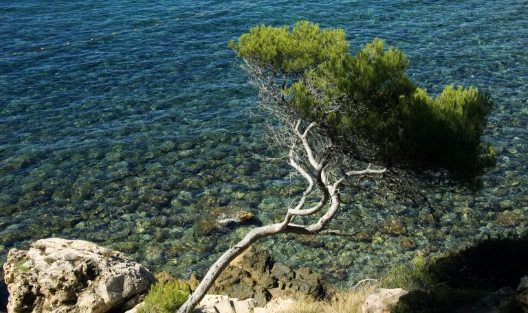 La plage du Grand Vallat