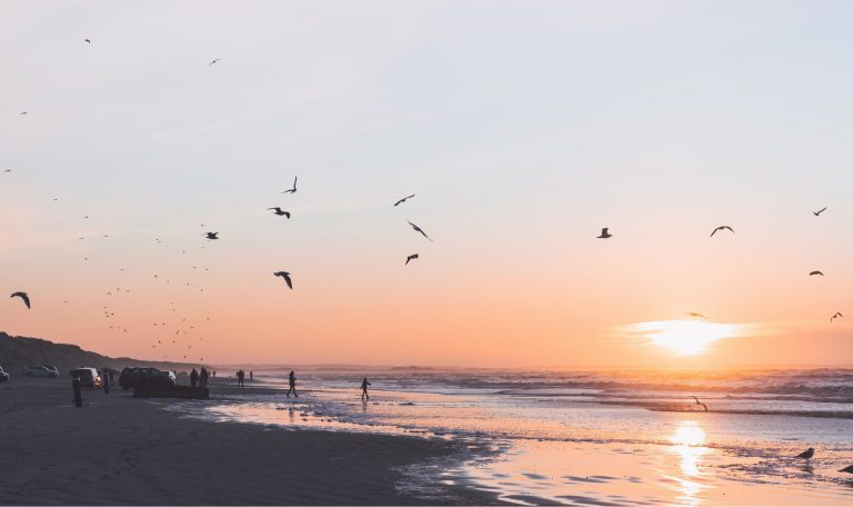 Aller à la plage dans le Nord