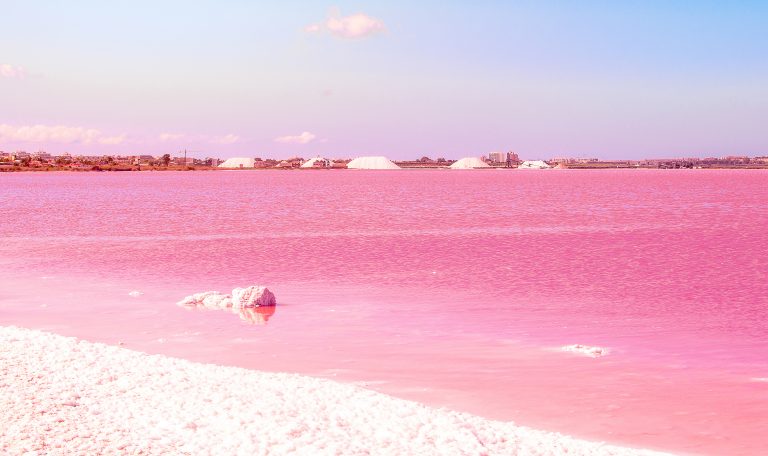 Pourquoi le lac de torrevieja est rose ?