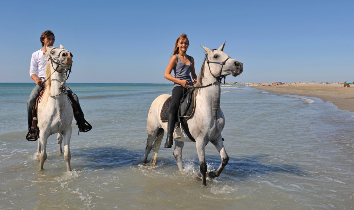 Quoi faire en Camargue