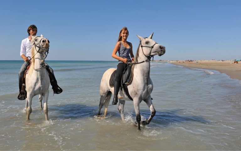 Quoi faire en Camargue