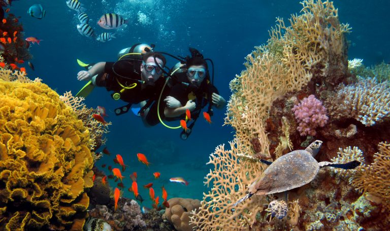 La Route Du Sud aux Maldives