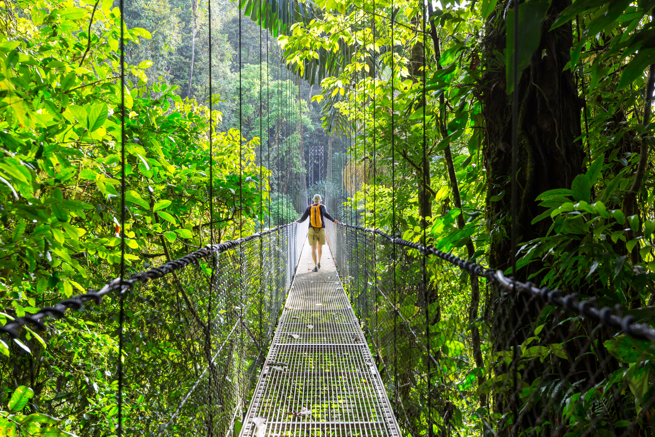 Les 12 choses incontournables à faire au Costa Rica