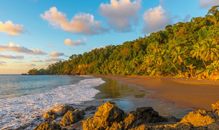 Île de Toruguero