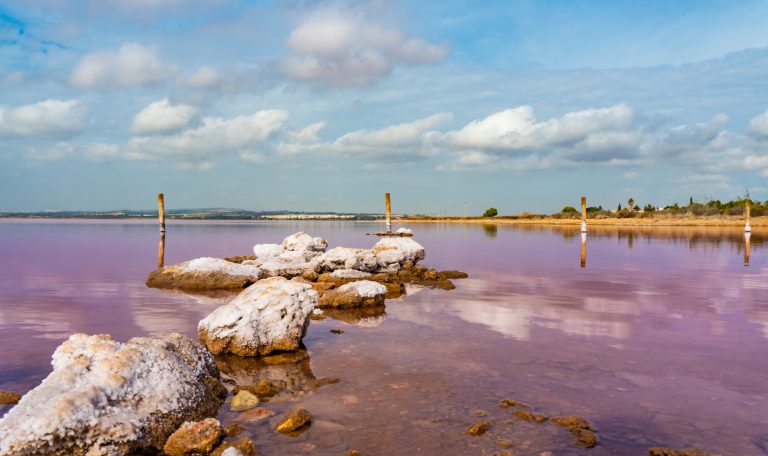 Voir le lac de torrevieja