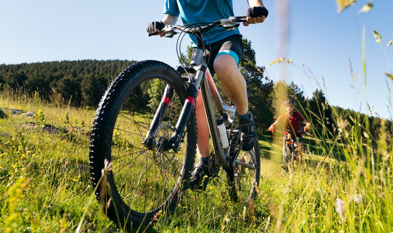 Faire du VTT en Camargue