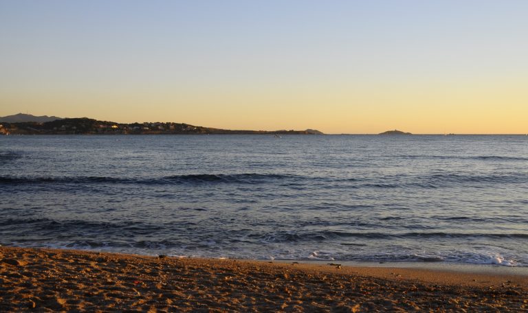 Baignade à SANARY SUR MER 