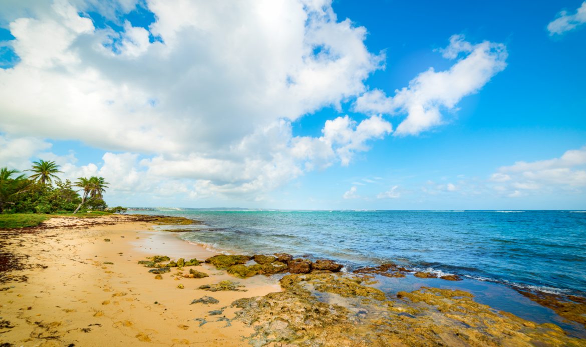 Le Moule en Guadeloupe