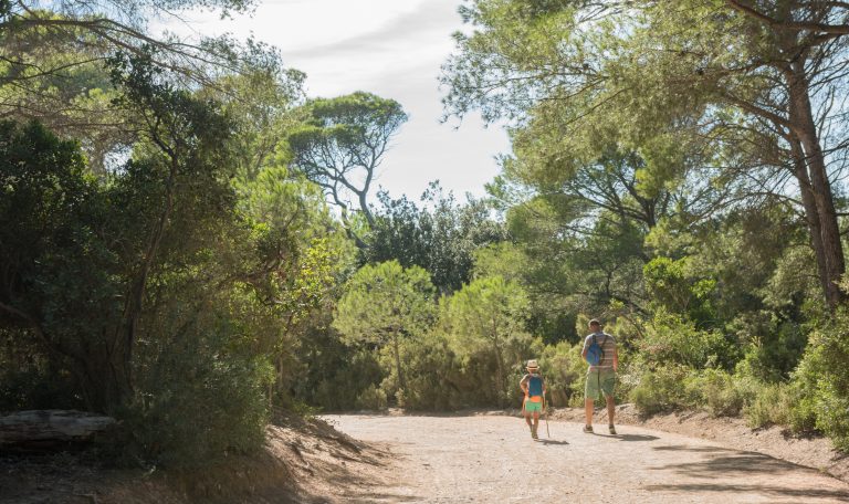 Quelles sont les plus belles plages de Porquerolles en 2022 ?