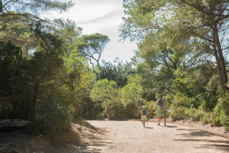 Quelles sont les plus belles plages de Porquerolles en 2022 ?