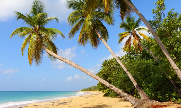 La plage de la saline