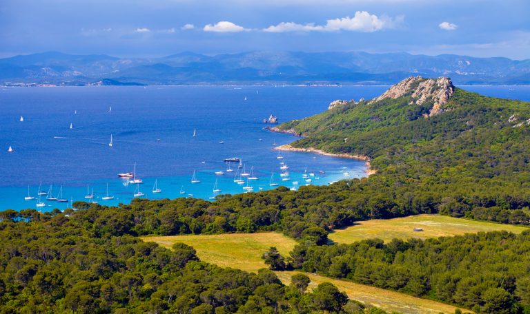 Pourquoi visiter Porquerolles