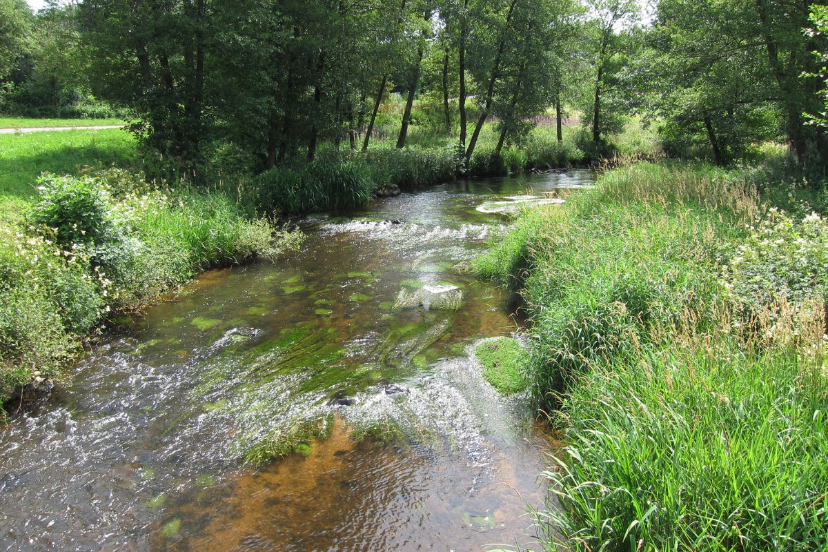 Bazoche-Gouet