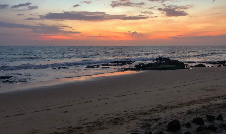 La beauté des Plages au Sénégal