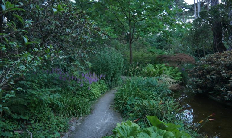 Le parc floral de paris