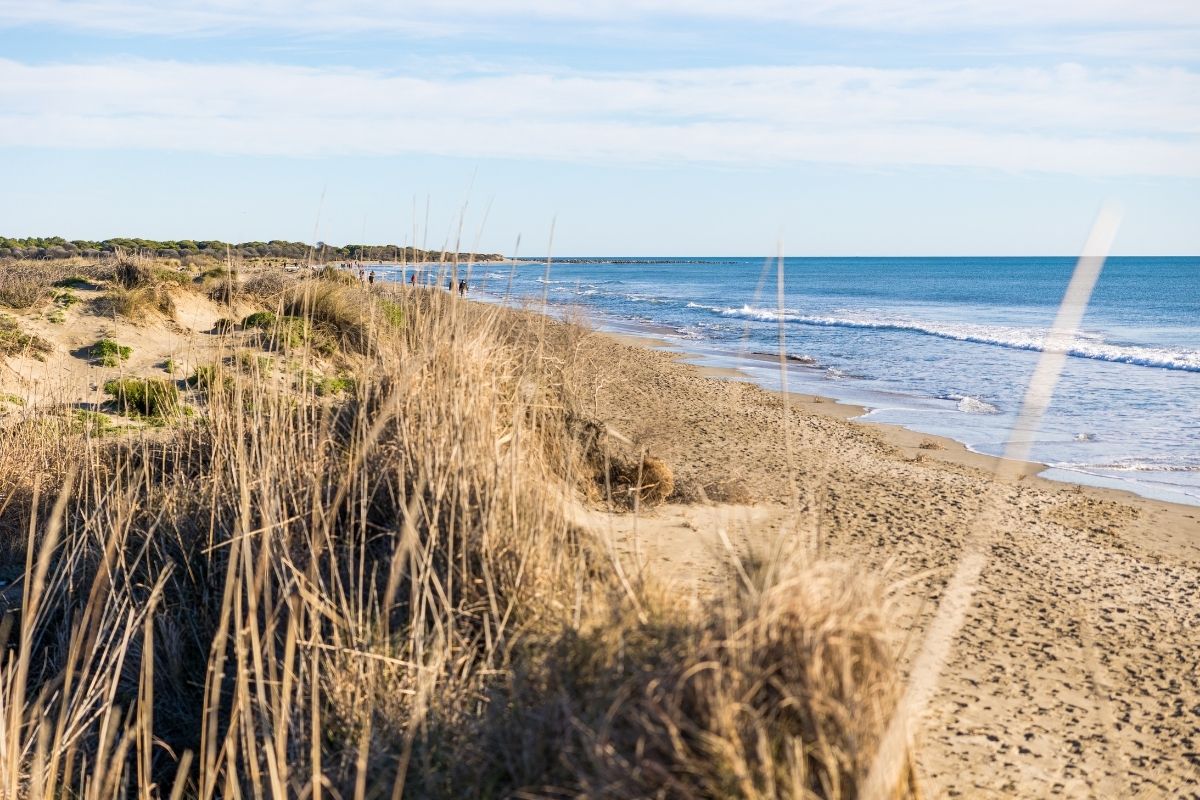 Plage de l’Espiguette