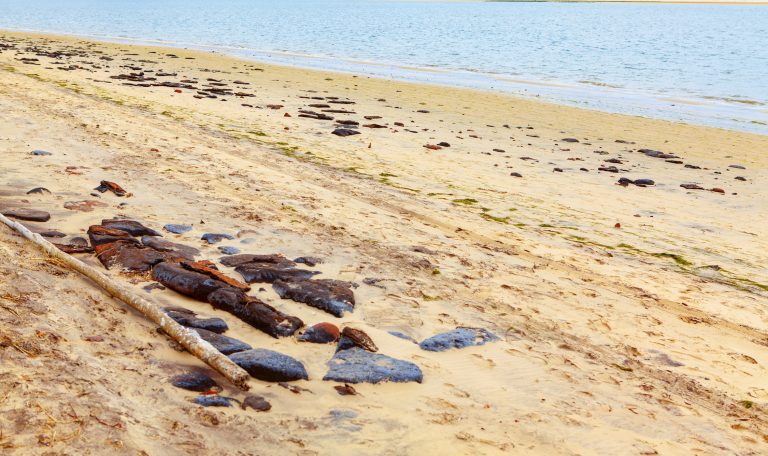 Plage du Robinson à Marseillan