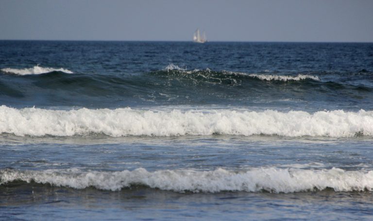 Plage de la verne