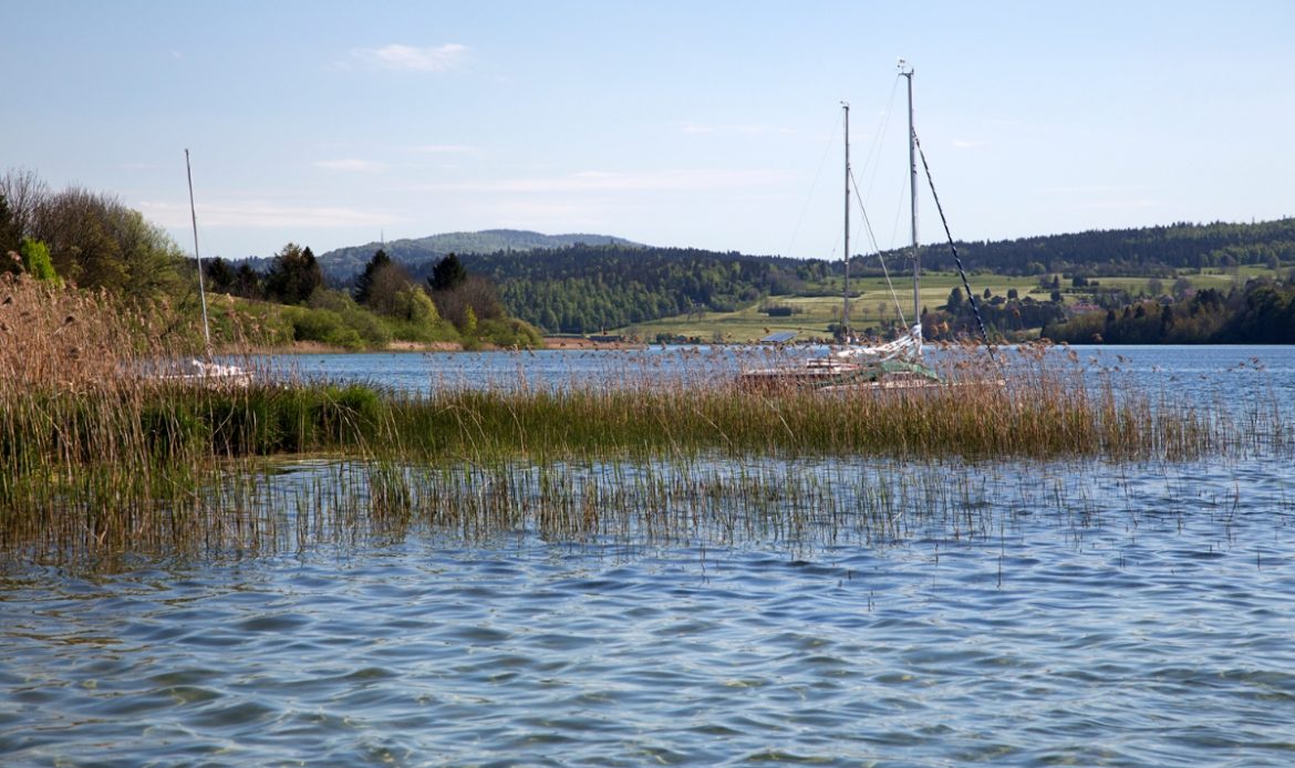 Le lac de Saint-Point