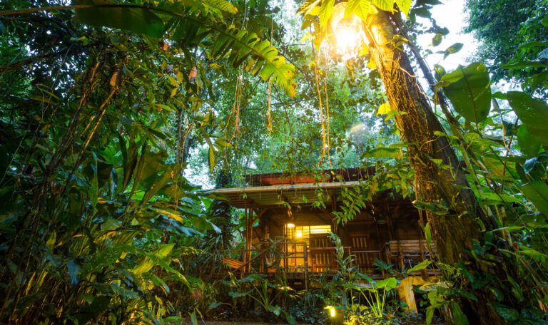 Dormir dans un eco lodge dans l'hérault