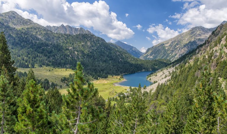 Estany de llong