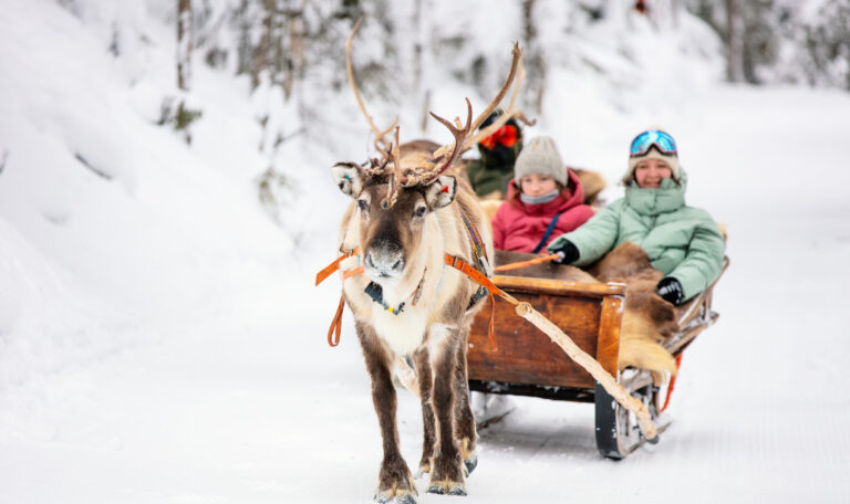 Laponie à Noel