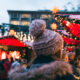 marché de noel en belgique