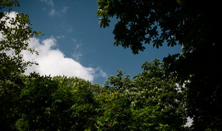 parc zooligque paris