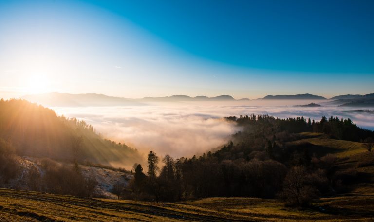 Aller dans les vosges à la toussaint