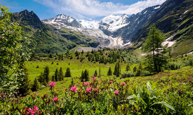 Chalet au mont blanc