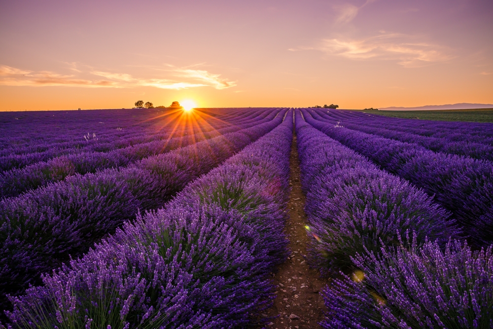 La France