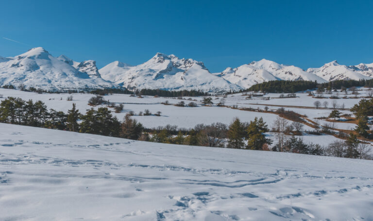 La Joue Du Loup