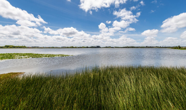 Lagoa Da Vela