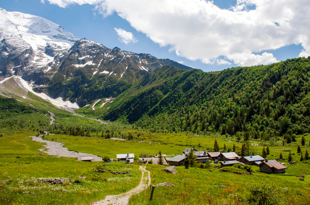 Chalet les camélias