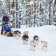 Quel prix pour un séjour en Laponie à Noël ? Tout savoir pour partir voir les aurores boréales !