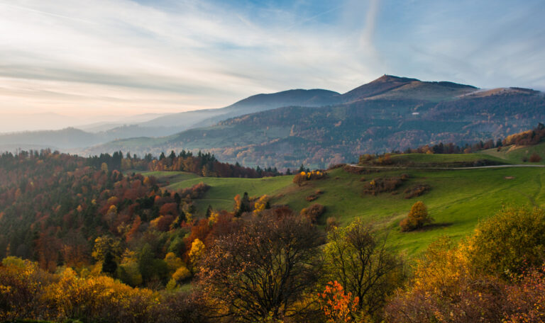 Chalet dans les vosge