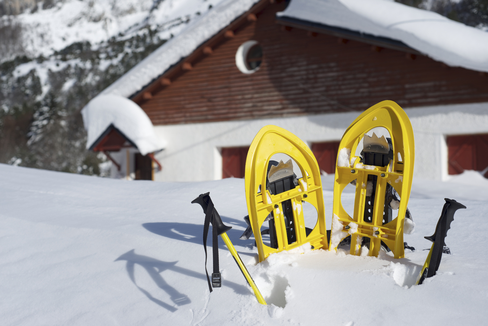 Chalet petit ours brun