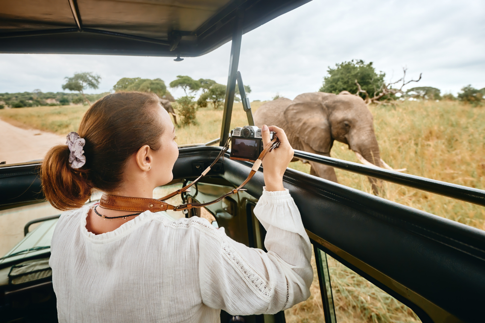 Faire un safari à Gombe