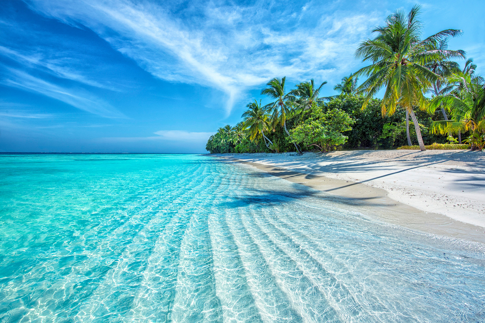 Aller aux Maldives pour Nouvel An