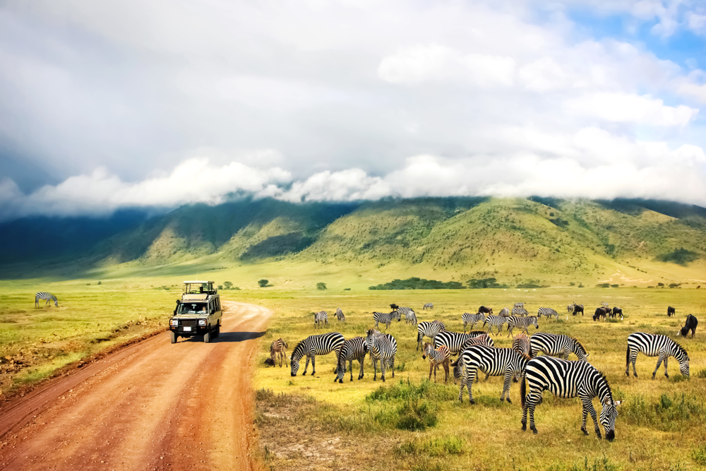 Ngorongoro