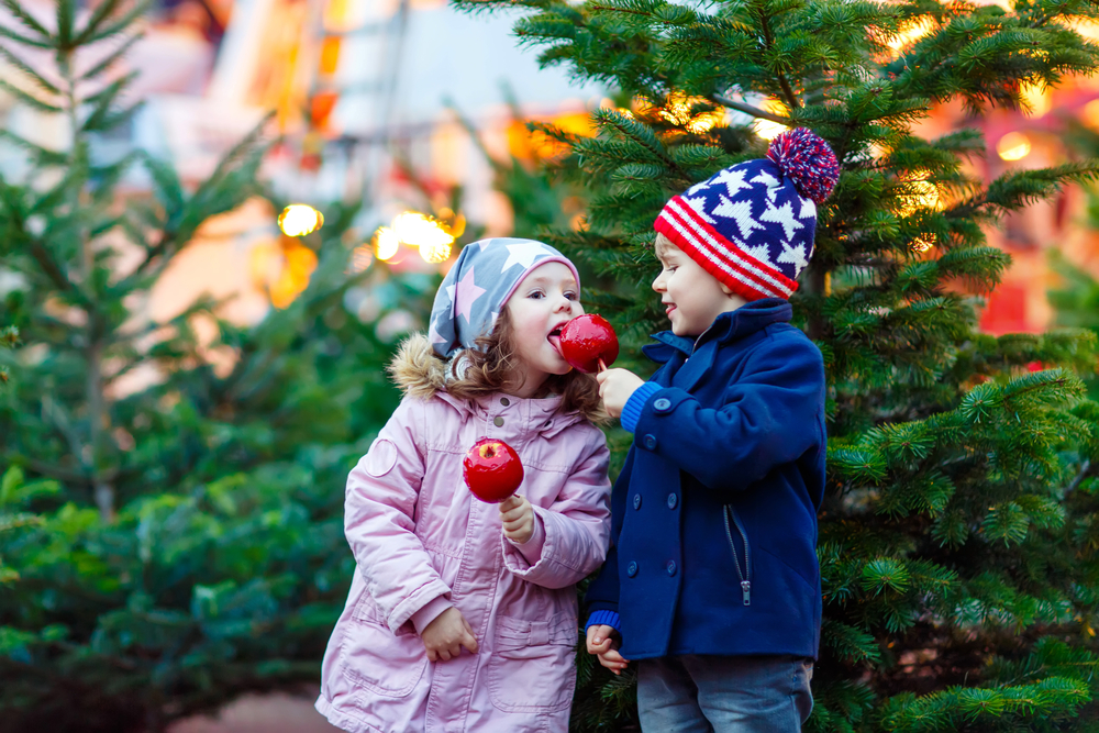 Pourquoi Marché de Noel à Reims