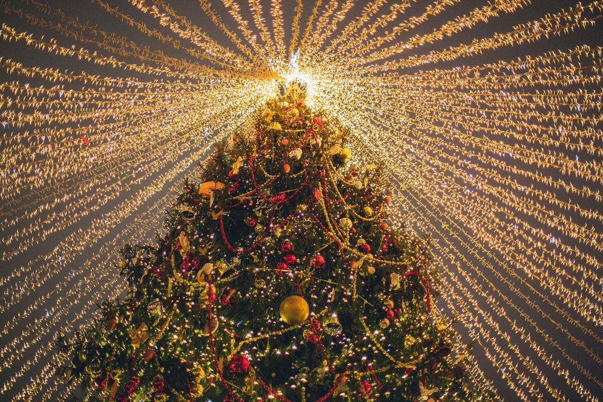 sapin de Noël de Disneyland Paris