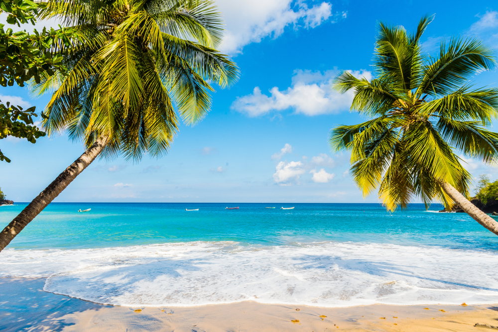 Le black friday en martinique