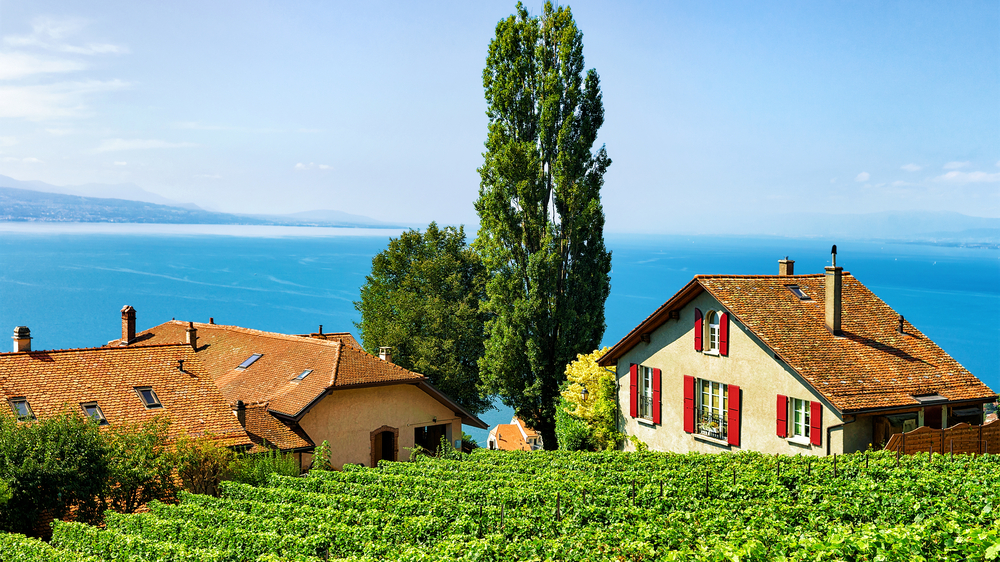 Chalets à la campagne