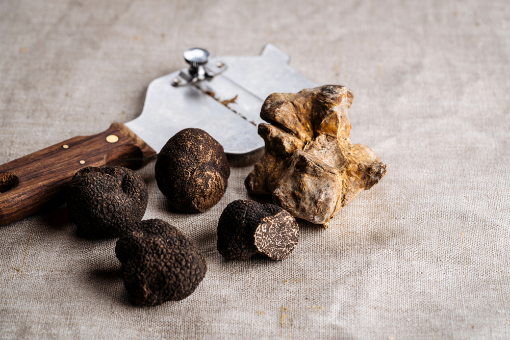 Degustation de truffe