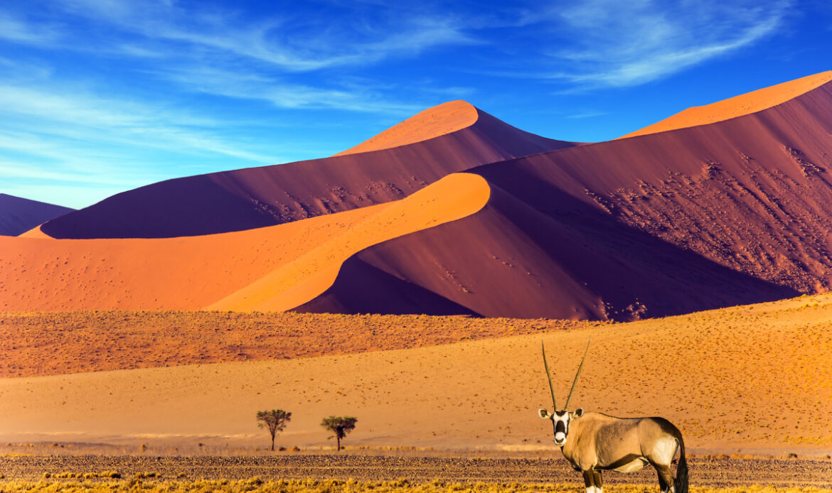 paysage Namibien
