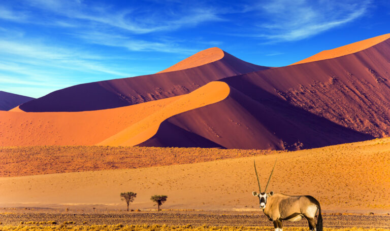paysage Namibien