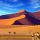 Top 10 des Plus Beaux Paysages de Namibie