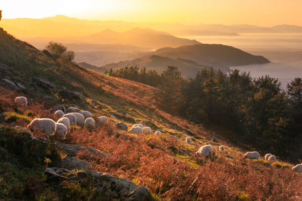 Village dans les pays basque