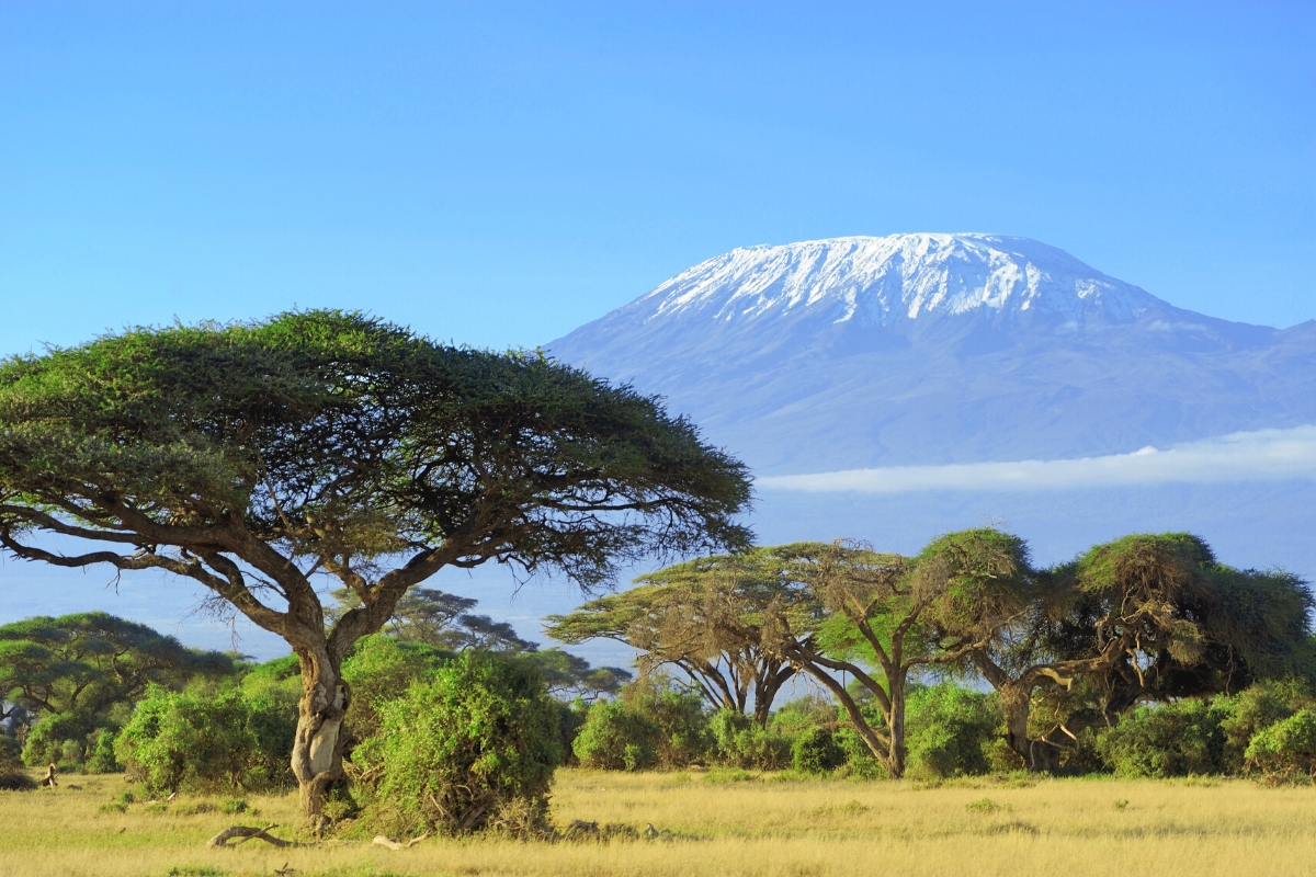 Kilimandjaro